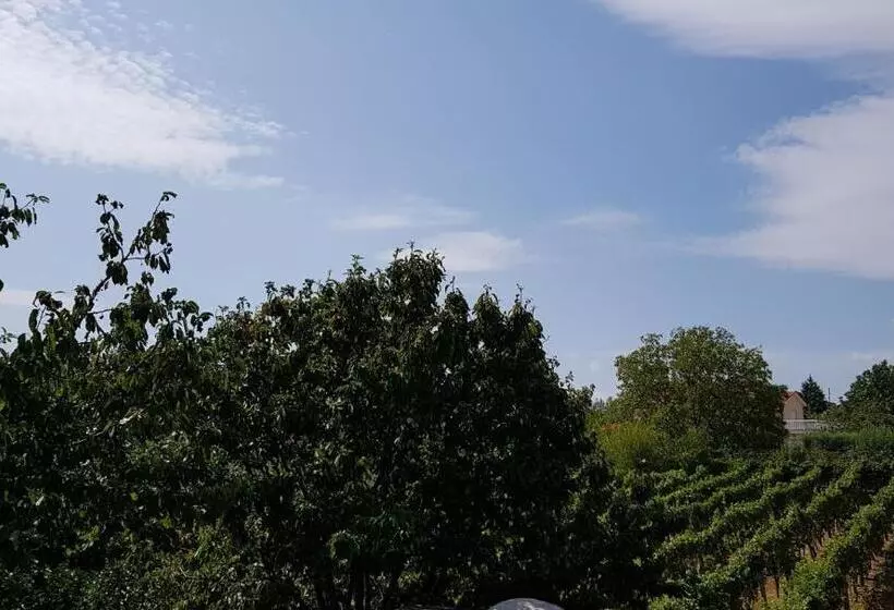 پانسیون Rooms Rafomarija