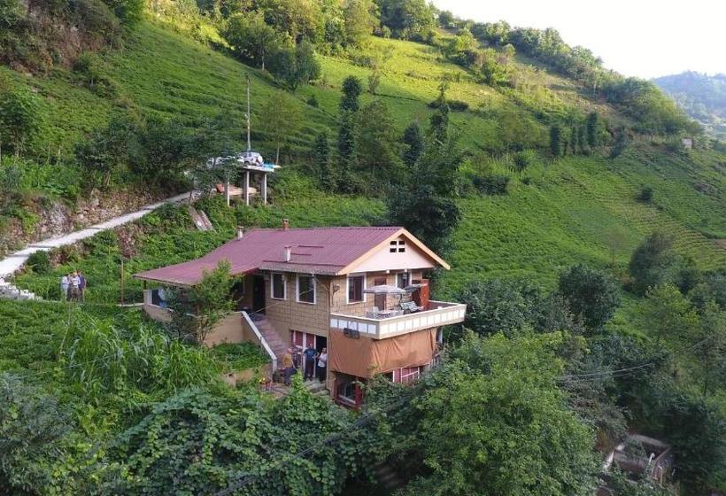 Yeşil Doğa Tatil Apart