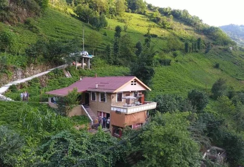 Yeşil Doğa Tatil Apart