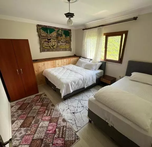 Yeşil Doğa Tatil Apart