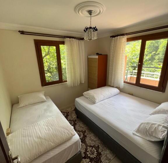 Yeşil Doğa Tatil Apart