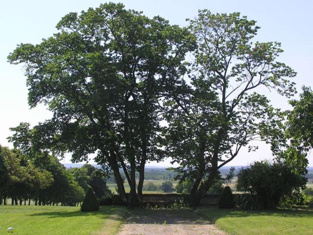 צימר Chambres D'hôtes Le Château De La Plante