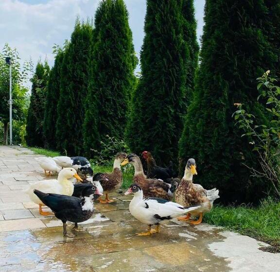 Family Hotel Borovitsa