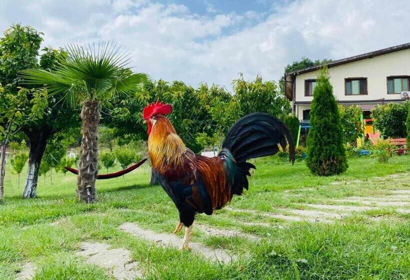 Family Hotel Borovitsa