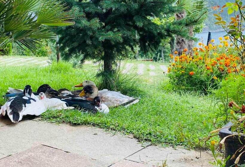 Family Hotel Borovitsa