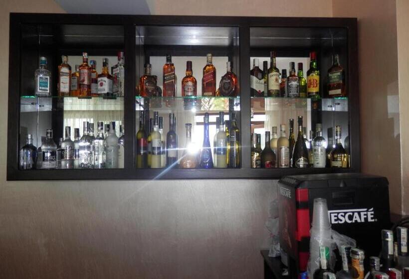 Family Hotel Borovitsa