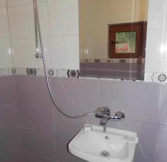 Family Hotel Borovitsa
