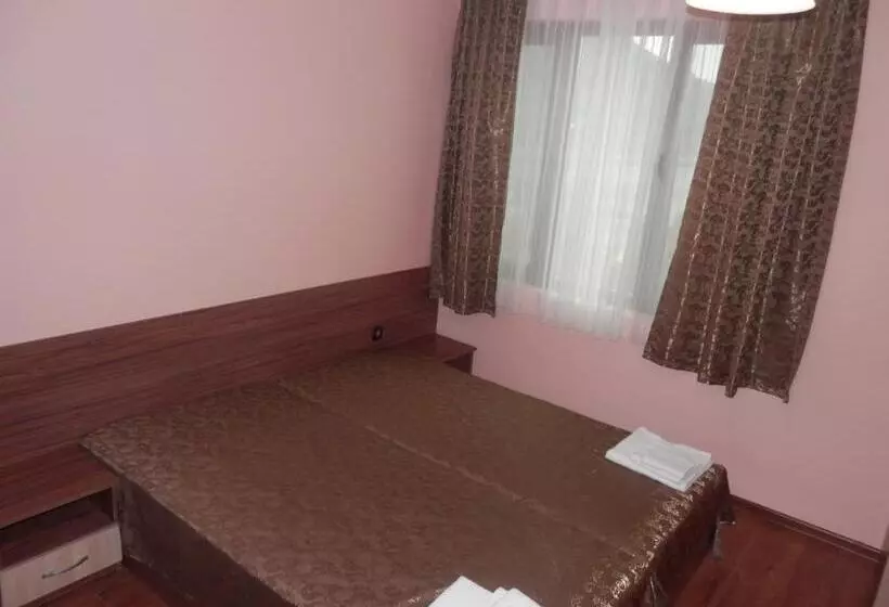 Family Hotel Borovitsa