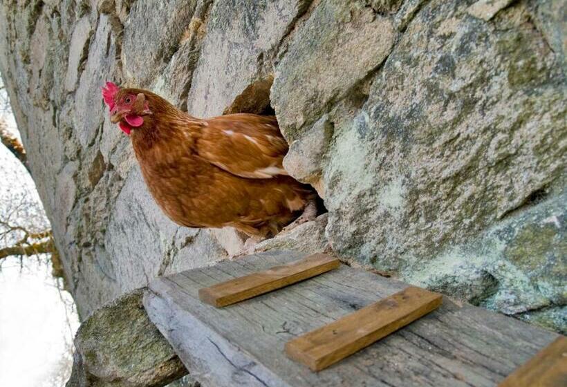 호텔 Arqueixal Ecoagroturismo