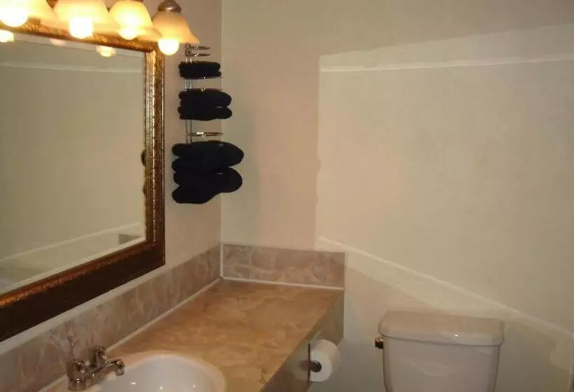 Hotelli Black Gold Inn