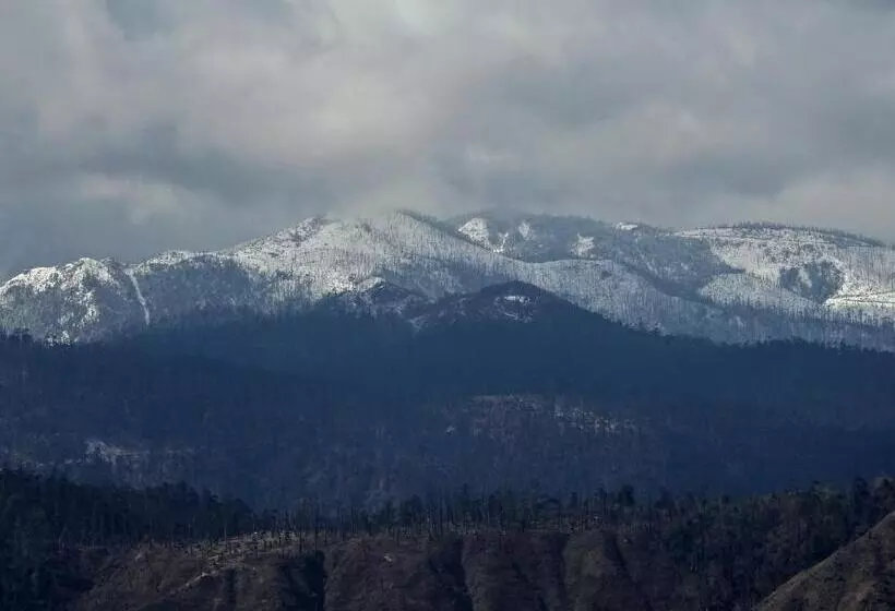 Hotelli Pemaling Lords Inn Dirang