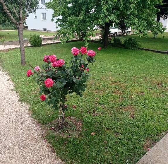 پانسیون Casa Del Pellegrino M&a   Ostojići