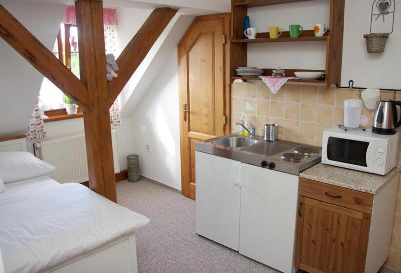 ペンション Farma Basarovi