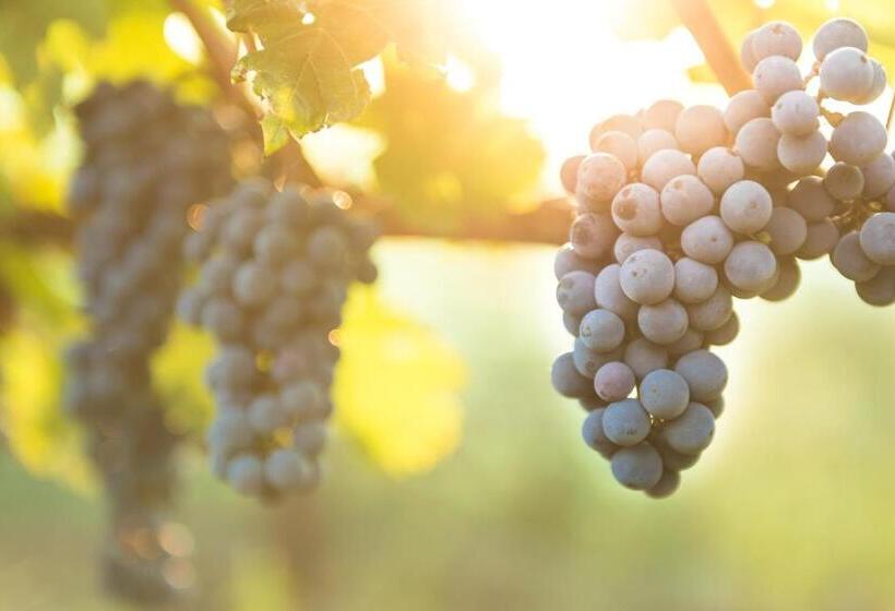 ペンション Penzion U Kostela