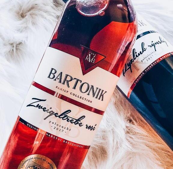 ペンション Penzion U Kostela