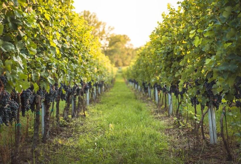 ペンション Penzion U Kostela