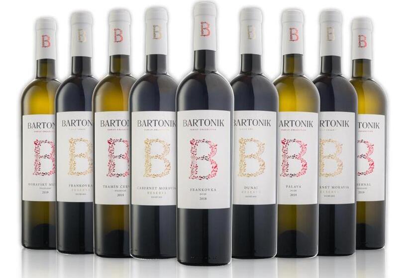 ペンション Penzion U Kostela