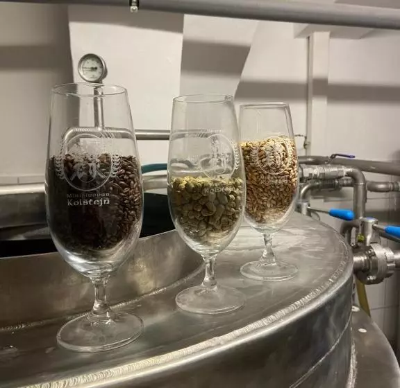 Wellness Hotel Kolštejn