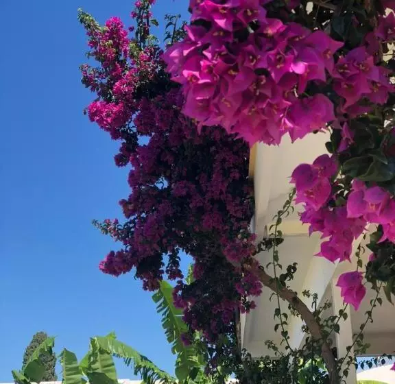Hotel Jon