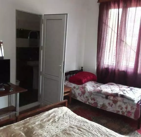 پانسیون Guest House Buche On Agmashenebeli 219