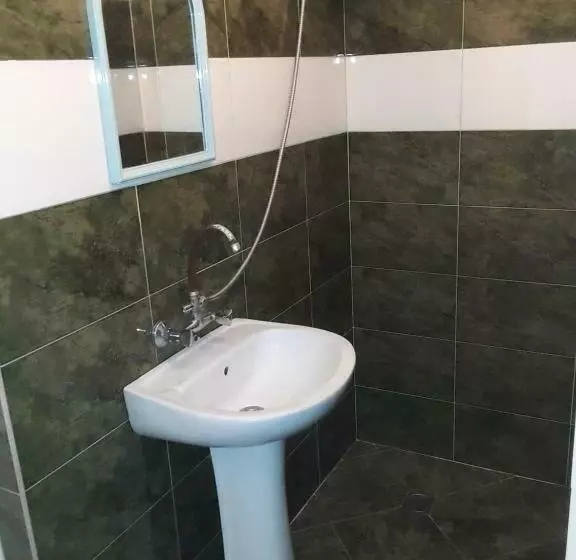 پانسیون Guest House Buche On Agmashenebeli 219