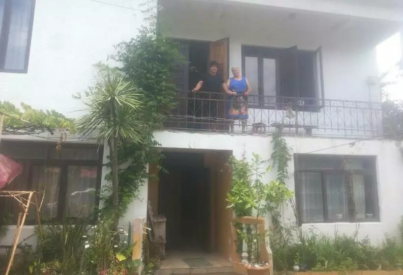 پانسیون Guest House Buche On Agmashenebeli 219