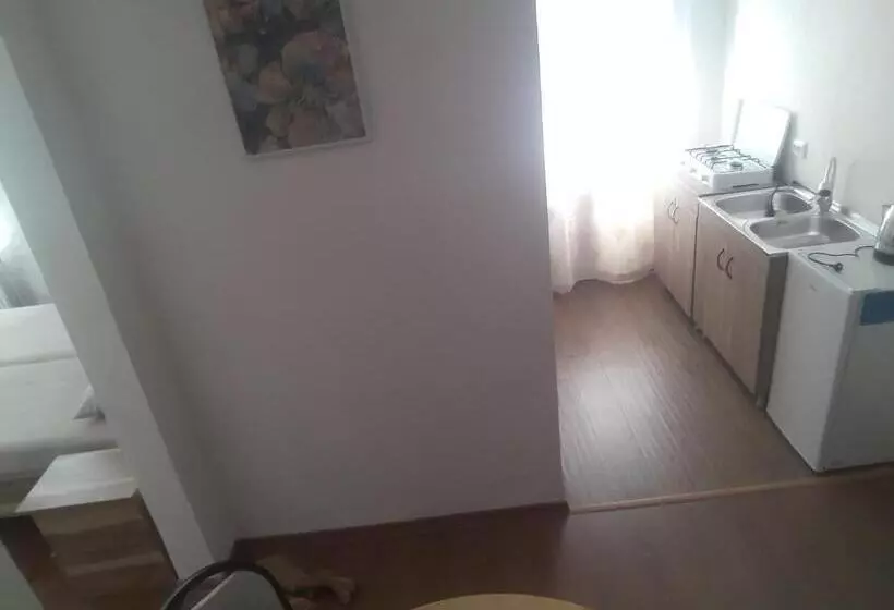 پانسیون Guest House Buche On Agmashenebeli 219