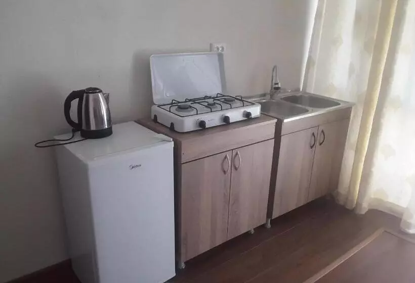 پانسیون Guest House Buche On Agmashenebeli 219