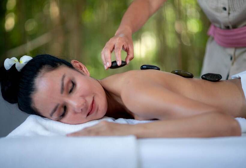 Отель Absolute Sanctuary