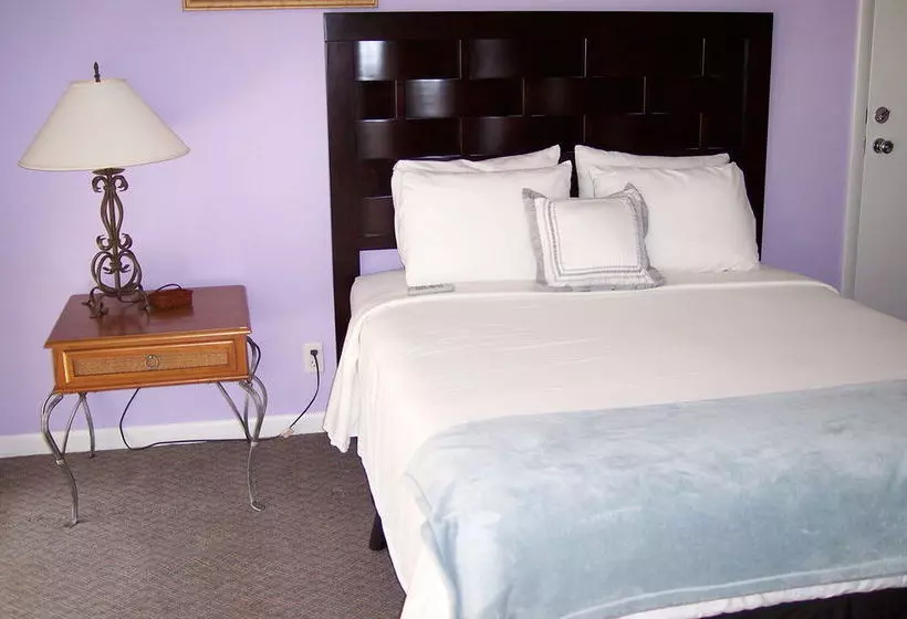 Отель Cheston House  Clothing Optional All Male Guesthouse