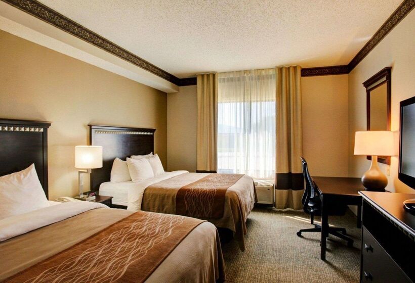 فندق Comfort Inn & Suites