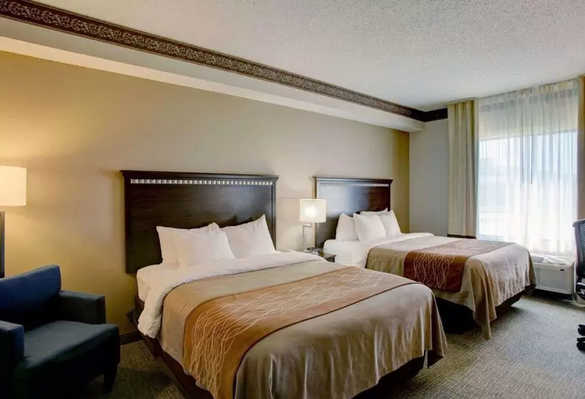 Отель Comfort Inn & Suites