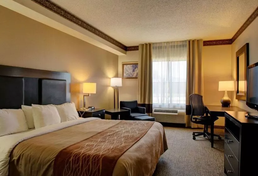 Отель Comfort Inn & Suites