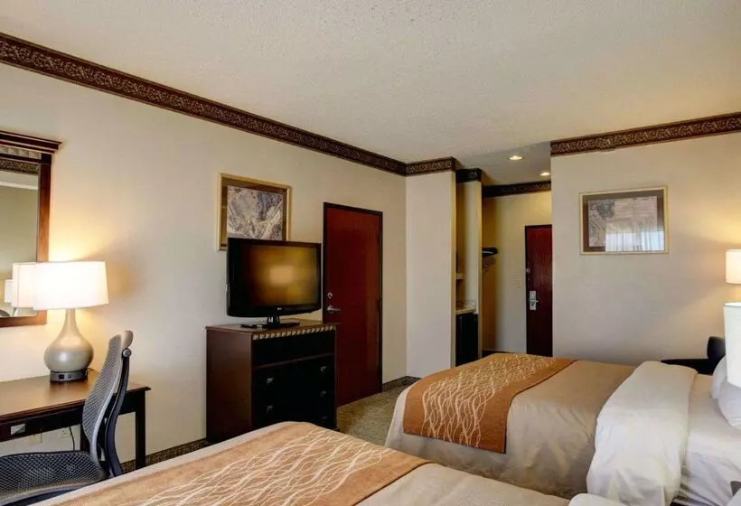 Отель Comfort Inn & Suites