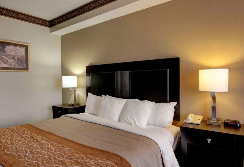 فندق Comfort Inn & Suites