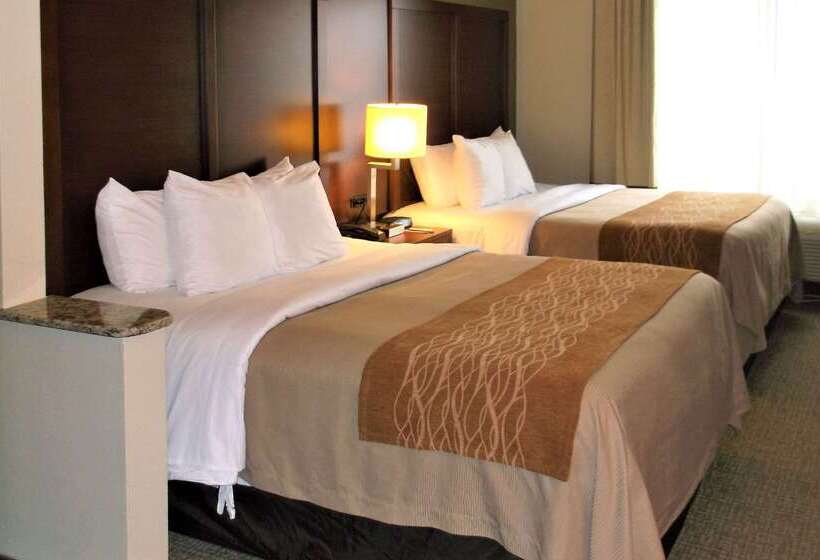 فندق Comfort Inn & Suites