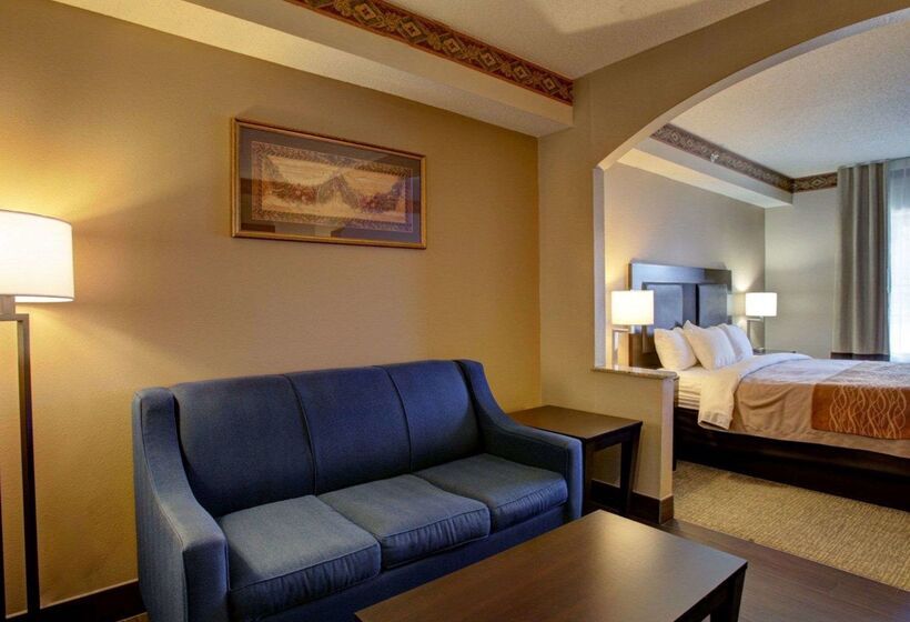فندق Comfort Inn & Suites