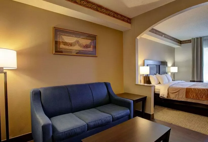 Отель Comfort Inn & Suites