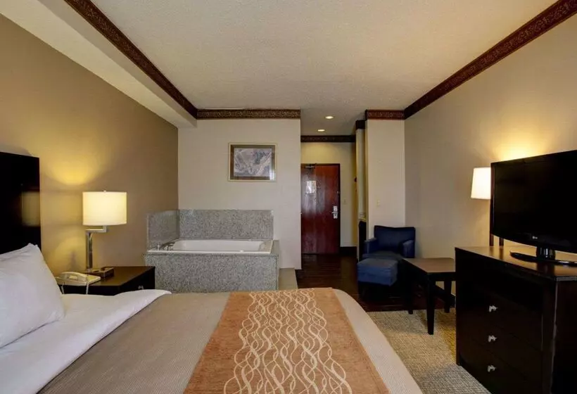 Отель Comfort Inn & Suites