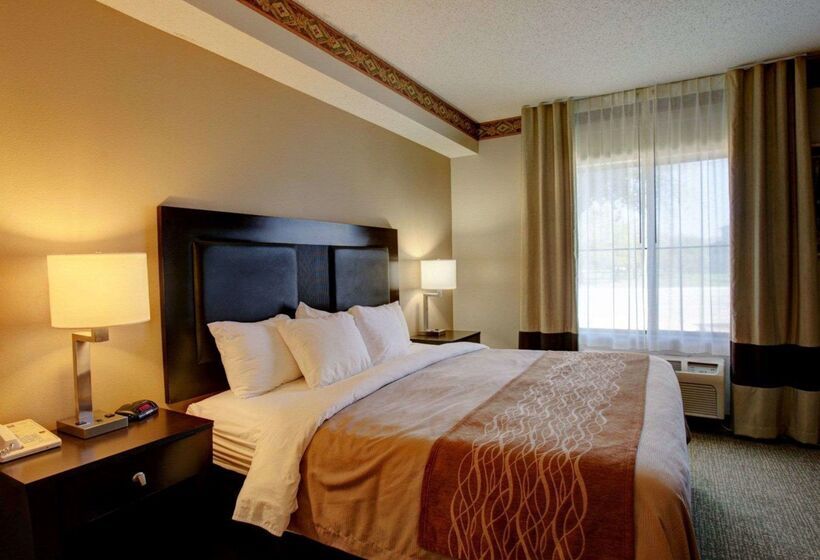 فندق Comfort Inn & Suites