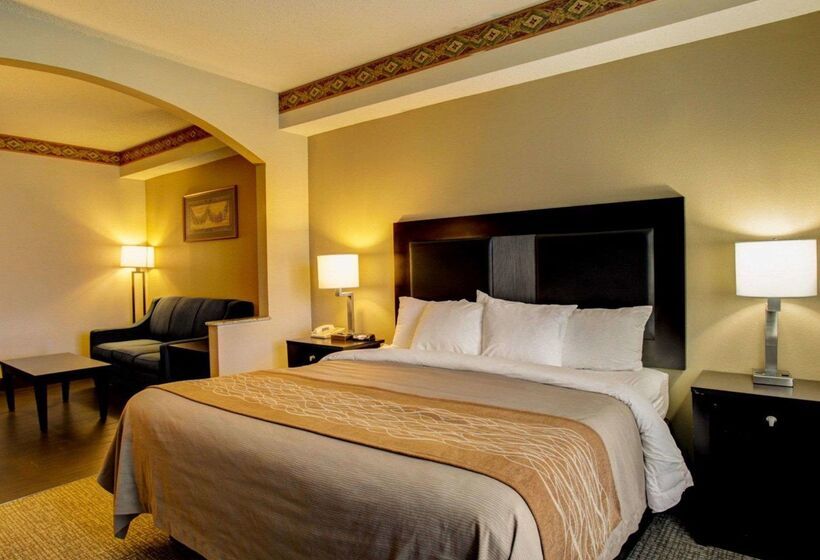 فندق Comfort Inn & Suites