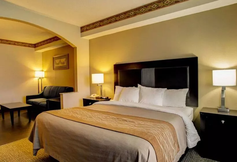 Отель Comfort Inn & Suites