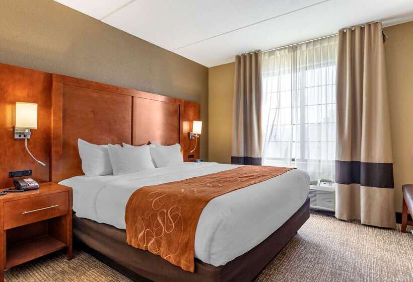 هتل Comfort Suites Grand Rapids South