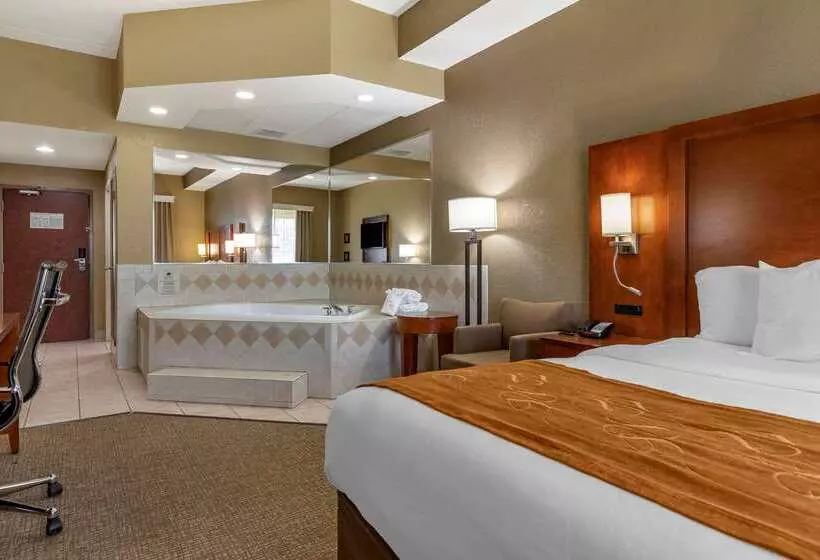 酒店 Comfort Suites Grand Rapids South