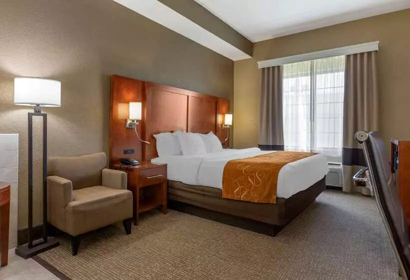 酒店 Comfort Suites Grand Rapids South