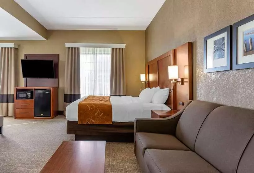 酒店 Comfort Suites Grand Rapids South