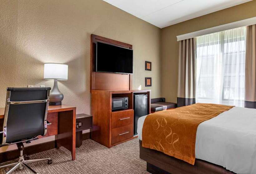 هتل Comfort Suites Grand Rapids South