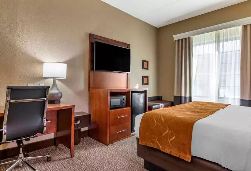 酒店 Comfort Suites Grand Rapids South