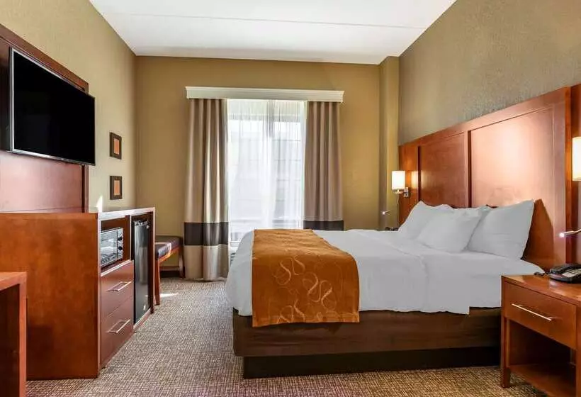 酒店 Comfort Suites Grand Rapids South
