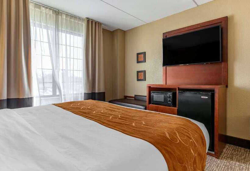 هتل Comfort Suites Grand Rapids South